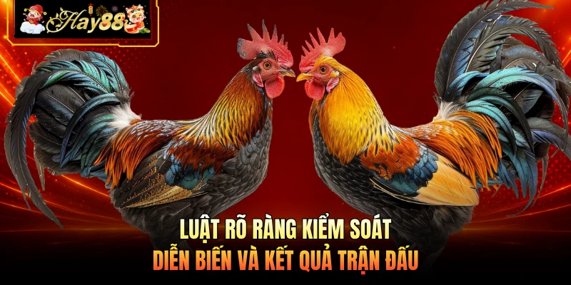 Nhà cái Hay88 Luật rõ ràng kiểm soát diễn biến và kết quả trận đấu